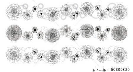ガーベラ ライン 白黒のイラスト素材