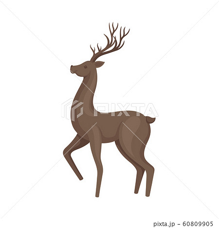 Brown Deer Animal in Standing Pose Vector Illustration Brown Deer Animal in Standing Pose Vector Illustration 60809905