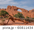 Landscape in Arches National Park 60811434