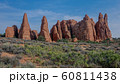 Landscape in Arches National Park 60811438
