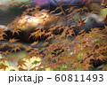 色づき始めるもみじ 60811493