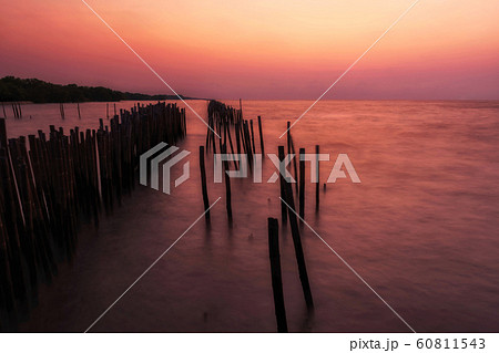 Motion seascape with twilight sky at dawn 60811543