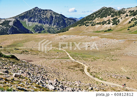 マウントレニエ国立公園　Mount Rainier National Park 60812812