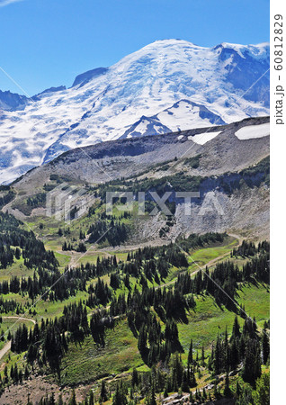 マウントレニエ国立公園　Mount Rainier National Park 60812829