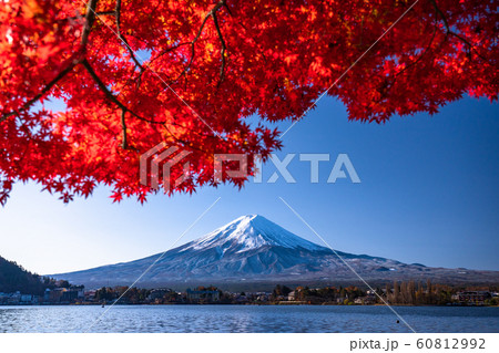 《山梨県》日本の秋・富士山と紅葉 《山梨県》日本の秋・富士山と紅葉 60812992