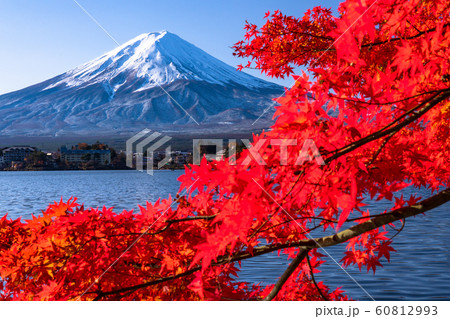 《山梨県》日本の秋・富士山と紅葉 《山梨県》日本の秋・富士山と紅葉 60812993