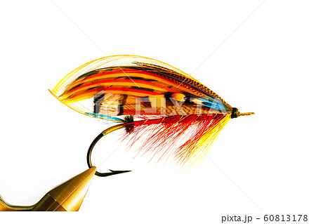 Classic atlantic salmon fly close-up isolated 60813178