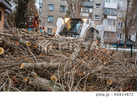 Urban emergency service removes a fallen tree on a 60814872