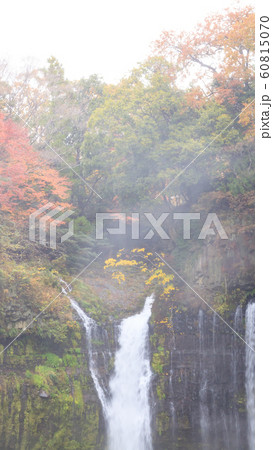 白糸の滝(秋) 白糸の滝(秋) 60815070