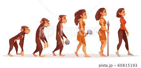 Human evolution from monkey to modern sexy woman 60815193