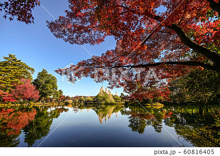 兼六園の紅葉 60816405
