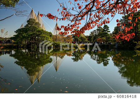 兼六園の紅葉 兼六園の紅葉 60816418