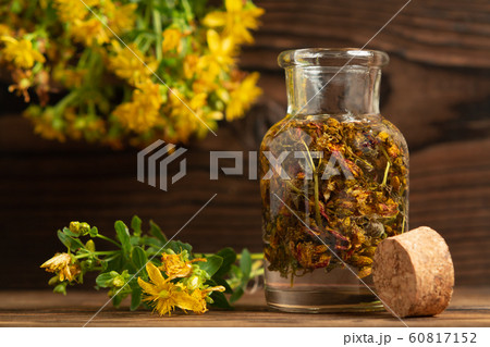 Concept of homeopathy and herbal treatment - dried Hypericum perforatum know as tutsan or Saint-Johns-wort in a bottle 60817152