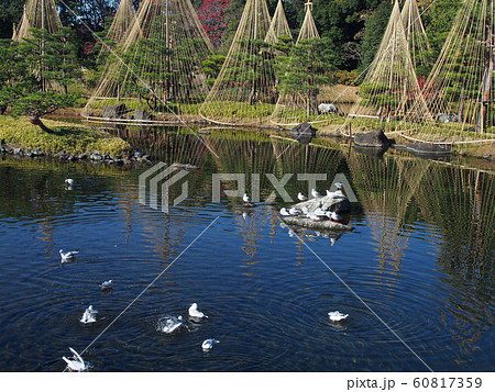 白鳥庭園点景 60817359