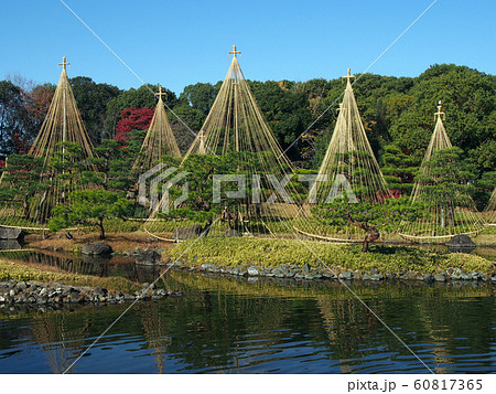 白鳥庭園点景 白鳥庭園点景 60817365