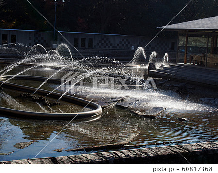 白鳥庭園点景 白鳥庭園点景 60817368
