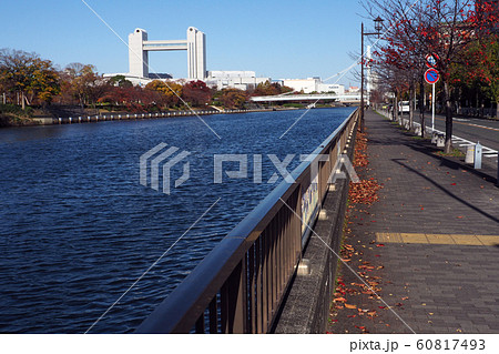 白鳥庭園点景 白鳥庭園点景 60817493