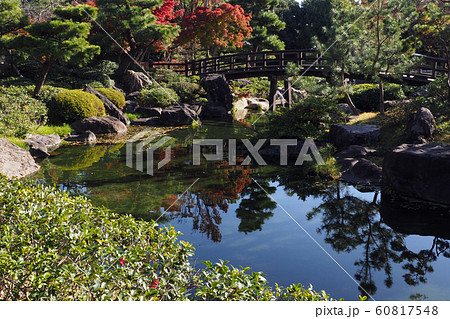 白鳥庭園点景 白鳥庭園点景 60817548