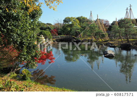 白鳥庭園点景 白鳥庭園点景 60817571