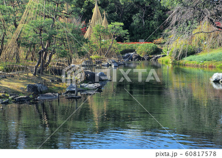 白鳥庭園点景 白鳥庭園点景 60817578