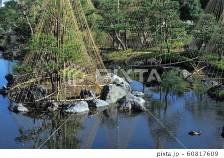 白鳥庭園点景 白鳥庭園点景 60817609