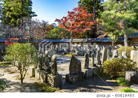神奈川県 鎌倉 円覚寺 紅葉の写真素材