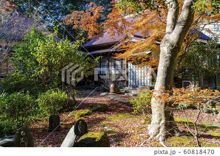 神奈川県 鎌倉 円覚寺 紅葉の写真素材