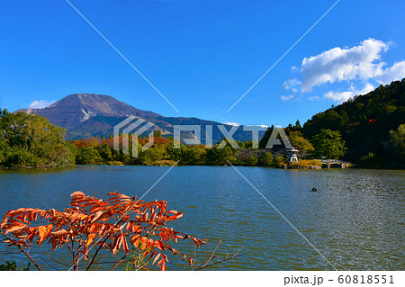 秋の三島池と伊吹山 60818551