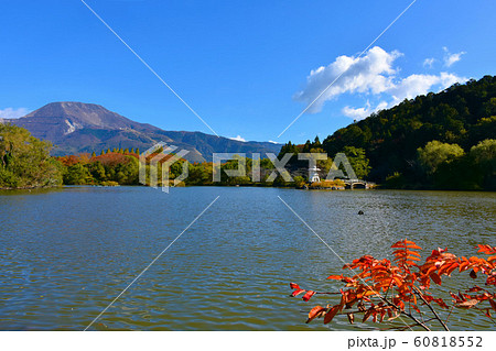 秋の三島池と伊吹山 秋の三島池と伊吹山 60818552