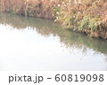 This is a photo of a riverside grass and a river I 60819098