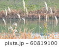 This is a photo of a riverside grass and a river I 60819100