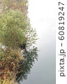 This is a picture of the river and the grass on th 60819247