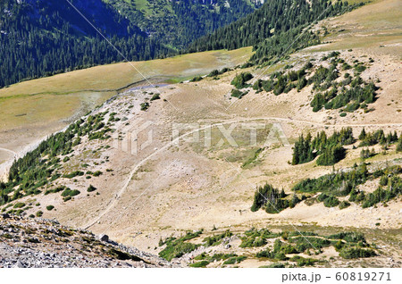 マウントレニエ国立公園　Mount Rainier National Park 60819271