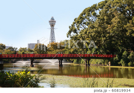 天王寺公園と通天閣 天王寺公園と通天閣 60819934