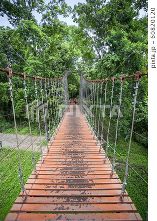 Suspension bridge at Khao Kradong travel 60820120