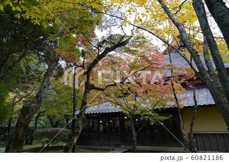 金鱗湖 紅葉 大分県由布市湯布院町 金鱗湖 紅葉 大分県由布市湯布院町 60821186