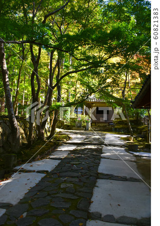 金剛輪寺　参道　湖東三山 60821383