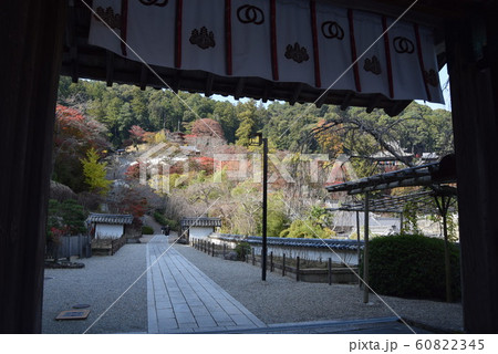 長谷寺 長谷寺 60822345