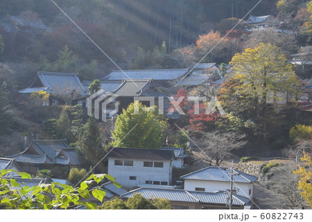 長谷寺 長谷寺 60822743