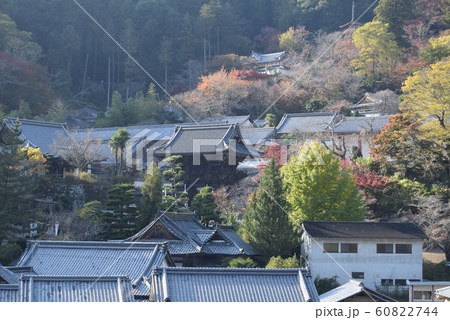 長谷寺 長谷寺 60822744