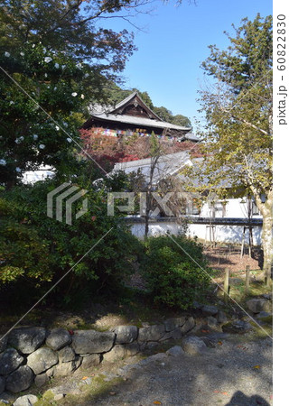長谷寺 長谷寺 60822830