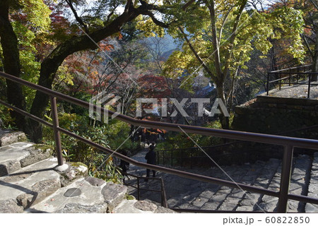 長谷寺 長谷寺 60822850