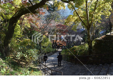 長谷寺 長谷寺 60822851