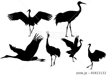 動物シルエット鳥ツル 60823132
