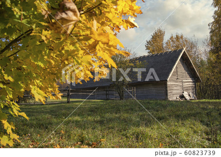 Russian old village in autumn. Russian old village in autumn. 60823739