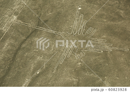 Nazca lines on desert in Peru, South America 60823928