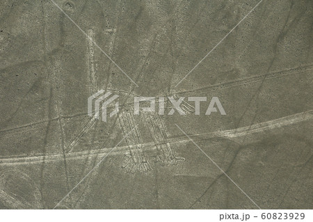 Nazca lines on desert in Peru, South America Nazca lines on desert in Peru, South America 60823929