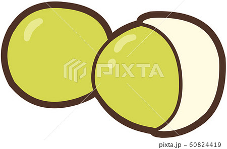 銀杏の殻付きと種を並べたイラスト 60824419