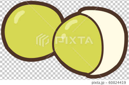 銀杏の殻付きと種を並べたイラスト 60824419