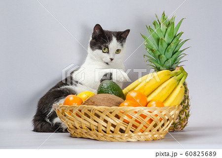black and white cat raised a paw over a basket of tropical fruits black and white cat raised a paw over a basket of tropical fruits 60825689